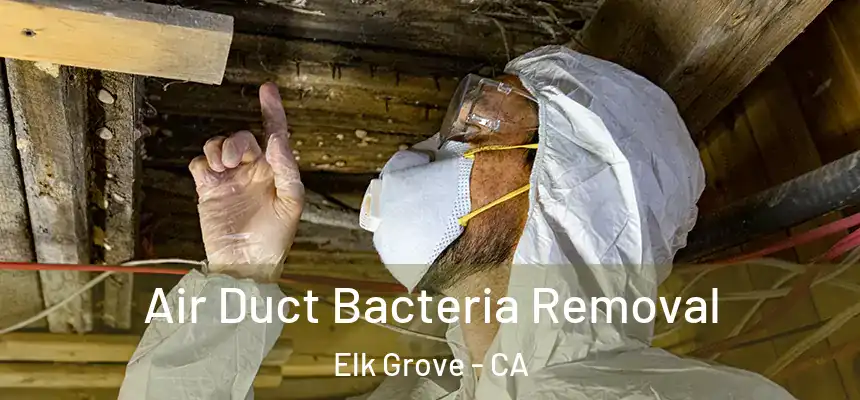 Air Duct Bacteria Removal Elk Grove - CA