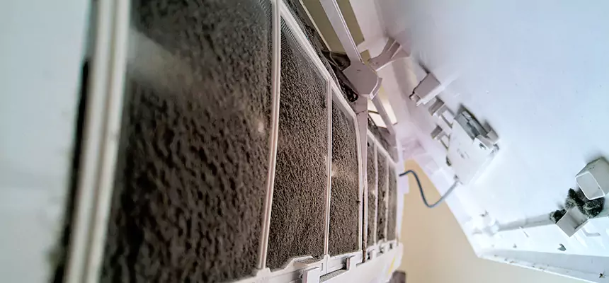 Preventive Air Duct Bacteria Removal in Elk Grove