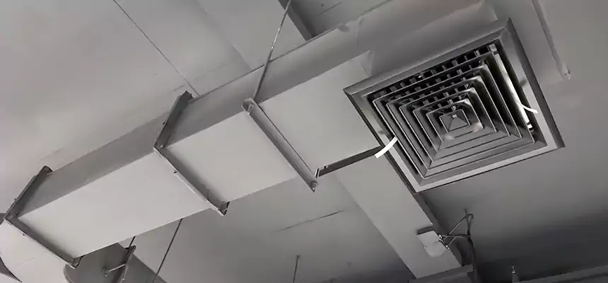 Restorative Allergy Relief Vent Cleaning – Coil, Blower & Housing Detail in Elk Grove