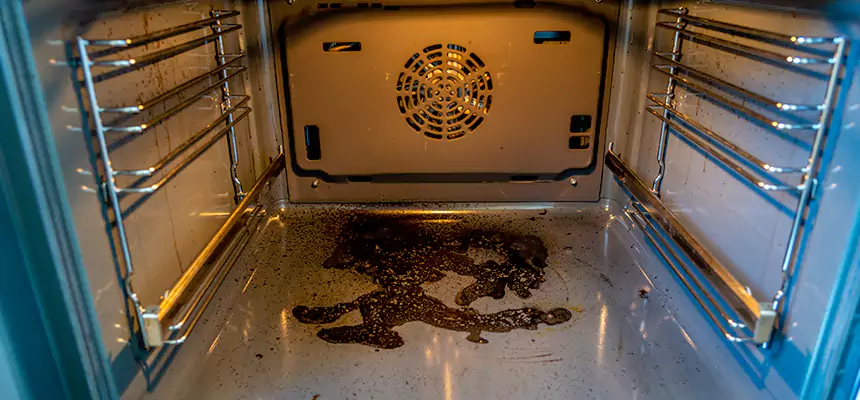 Our Dryer Vent Mold Cleaning Services in Elk Grove, CA