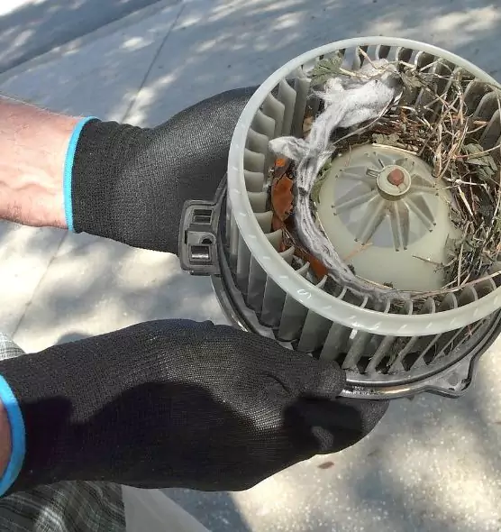 About Air Duct Mice Removal in Elk Grove, CA