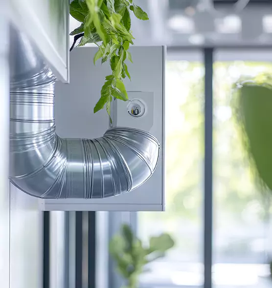 Professional Eco-Friendly Duct Cleaning Services in Elk Grove, CA