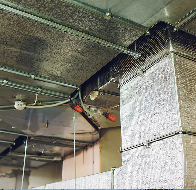 Why Homeowners & Businesses Trust Us in Elk Grove, CA?