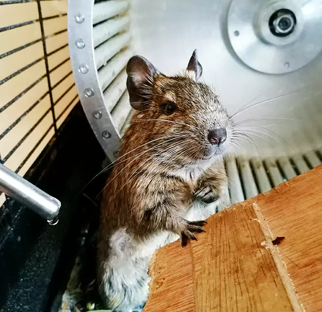 Why Homeowners & Businesses Trust Us Elk Grove, CA