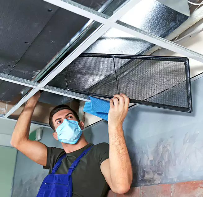 Why Homeowners Businesses Trust Us in Elk Grove, CA