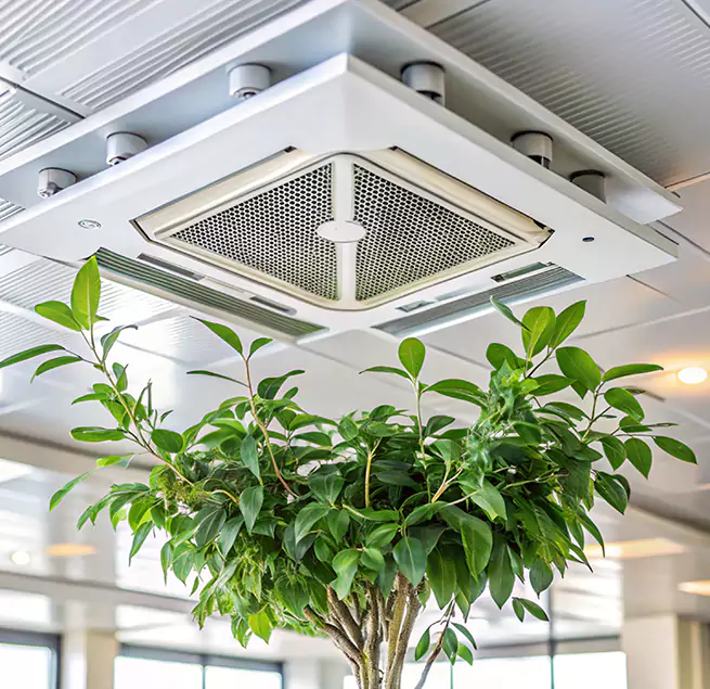 Why Homeowners & Businesses Trust Us in Elk Grove, CA?