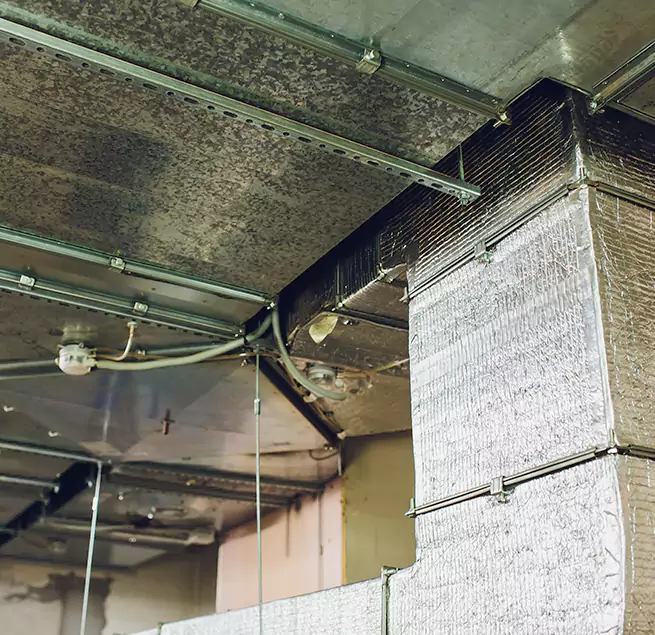 Why Homeowners & Businesses Trust Us in Elk Grove, CA?